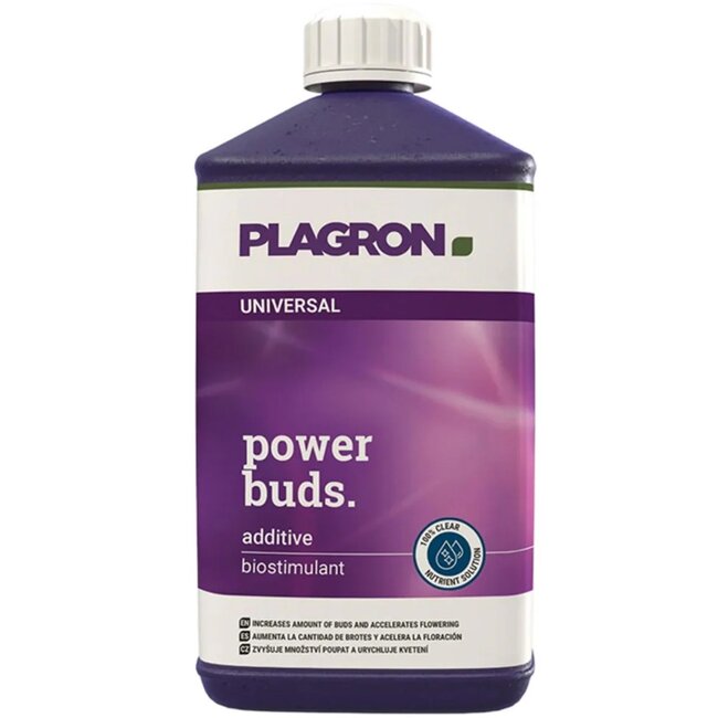 plagron-power-buds-4