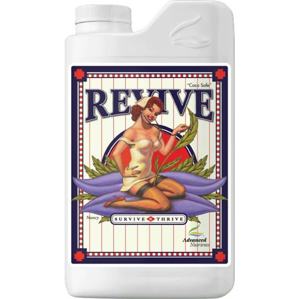 revive-new-