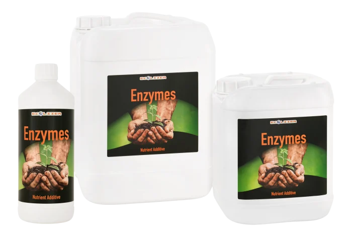 Ecolizer - Enzymes - Slims Place Ltd