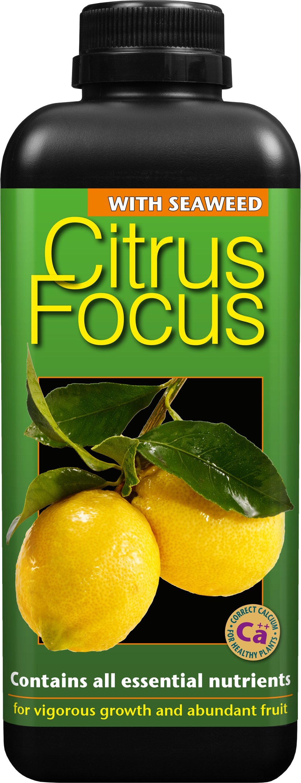 Citrus Focus 1 litre