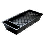 Black plastic plant tray with drainage holes, ideal for seedlings and propagation.