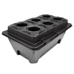 Black plastic seedling propagation tray with multiple slots for plant propagation.